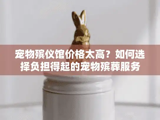 宠物殡仪馆价格太高？如何选择负担得起的宠物殡葬服务