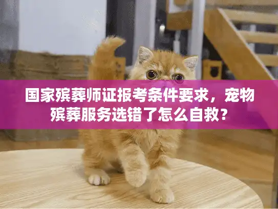 国家殡葬师证报考条件要求，宠物殡葬服务选错了怎么自救？