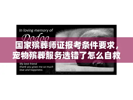 国家殡葬师证报考条件要求，宠物殡葬服务选错了怎么自救？