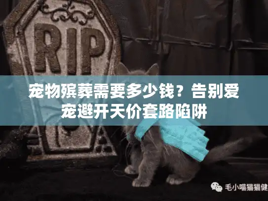 宠物殡葬需要多少钱？告别爱宠避开天价套路陷阱