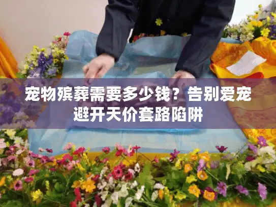 宠物殡葬需要多少钱？告别爱宠避开天价套路陷阱