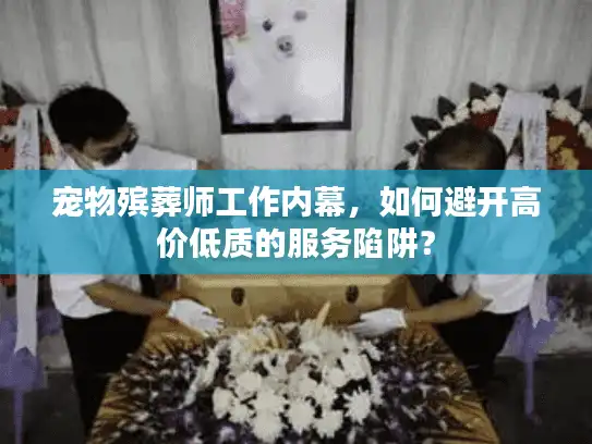 宠物殡葬师工作内幕，如何避开高价低质的服务陷阱？