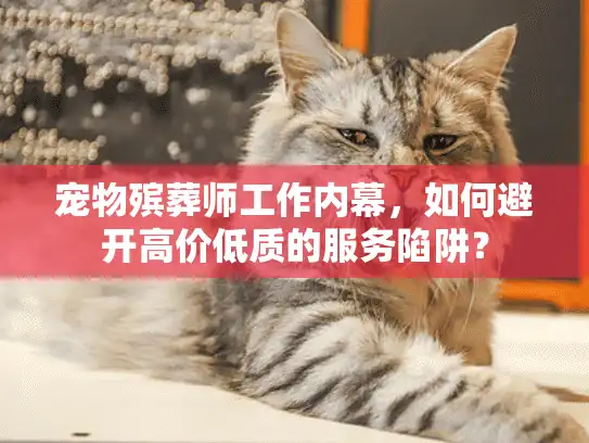 宠物殡葬师工作内幕，如何避开高价低质的服务陷阱？