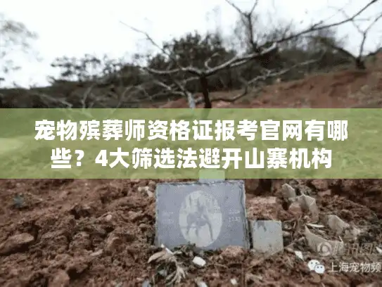 宠物殡葬师资格证报考官网有哪些？4大筛选法避开山寨机构