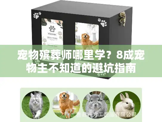 宠物殡葬师哪里学？8成宠物主不知道的避坑指南