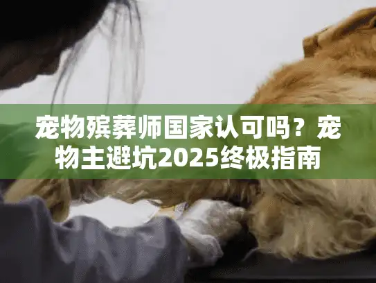 宠物殡葬师国家认可吗？宠物主避坑2025终极指南
