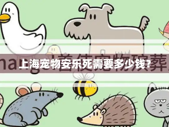上海宠物安乐死需要多少钱？