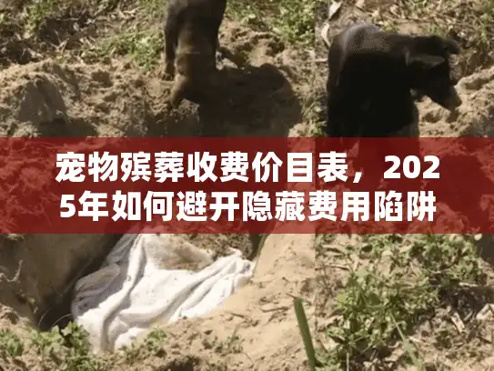 宠物殡葬收费价目表，2025年如何避开隐藏费用陷阱？