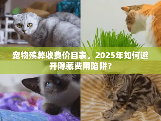 宠物殡葬收费价目表，2025年如何避开隐藏费用陷阱？