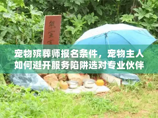 宠物殡葬师报名条件，宠物主人如何避开服务陷阱选对专业伙伴