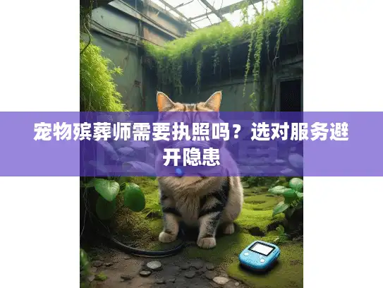 宠物殡葬师需要执照吗？选对服务避开隐患
