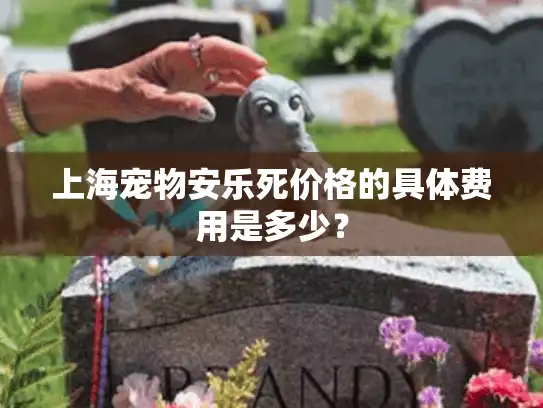 上海宠物安乐死价格的具体费用是多少？