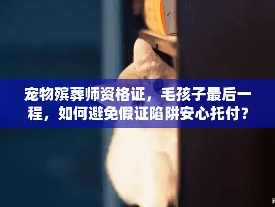 宠物殡葬师资格证，毛孩子最后一程，如何避免假证陷阱安心托付？