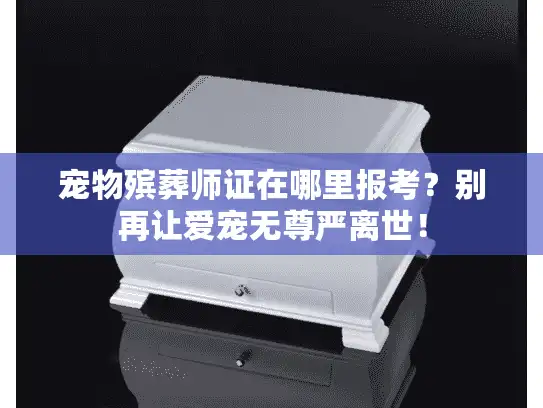 宠物殡葬师证在哪里报考？别再让爱宠无尊严离世！