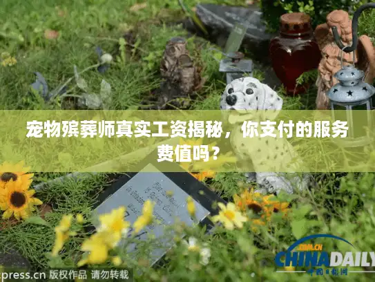 宠物殡葬师真实工资揭秘，你支付的服务费值吗？