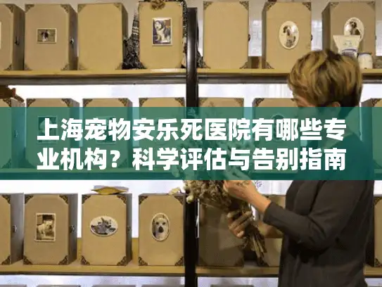 上海宠物安乐死医院有哪些专业机构？科学评估与告别指南