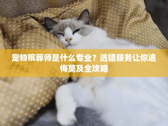 宠物殡葬师是什么专业？选错服务让你追悔莫及全攻略