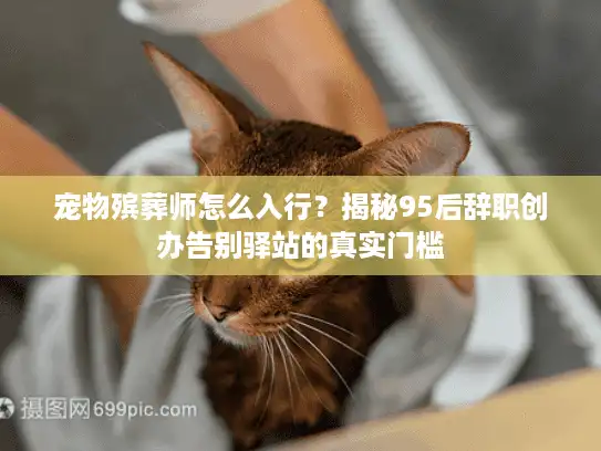 宠物殡葬师怎么入行？揭秘95后辞职创办告别驿站的真实门槛
