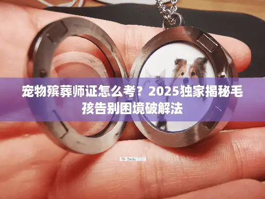 宠物殡葬师证怎么考？2025独家揭秘毛孩告别困境破解法