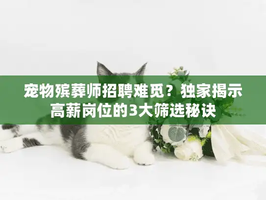 宠物殡葬师招聘难觅？独家揭示高薪岗位的3大筛选秘诀