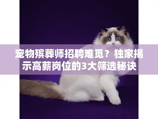 宠物殡葬师招聘难觅？独家揭示高薪岗位的3大筛选秘诀