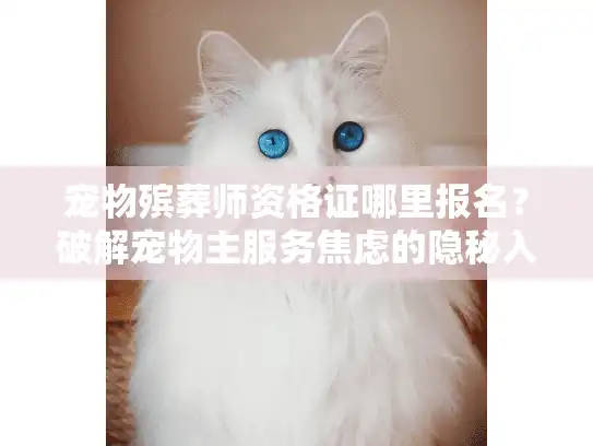 宠物殡葬师资格证哪里报名？破解宠物主服务焦虑的隐秘入口