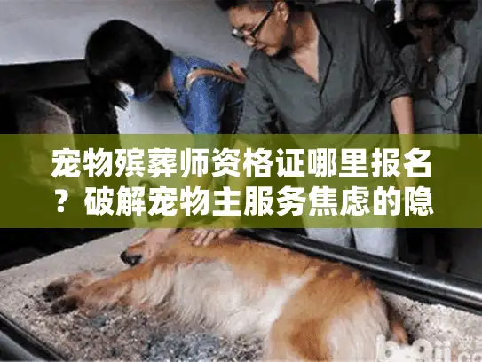 宠物殡葬师资格证哪里报名？破解宠物主服务焦虑的隐秘入口
