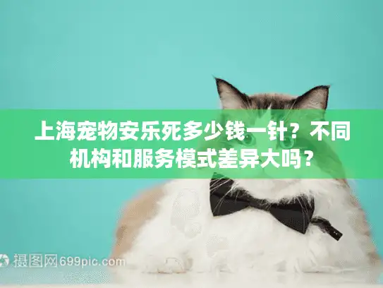 上海宠物安乐死多少钱一针？不同机构和服务模式差异大吗？