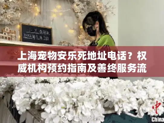 上海宠物安乐死地址电话？权威机构预约指南及善终服务流程
