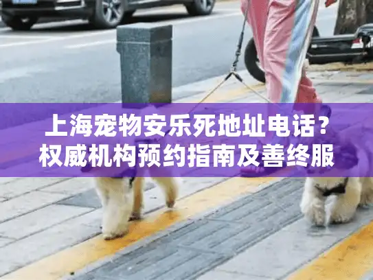 上海宠物安乐死地址电话？权威机构预约指南及善终服务流程