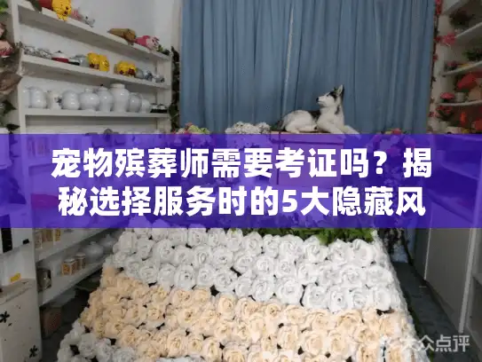 宠物殡葬师需要考证吗？揭秘选择服务时的5大隐藏风险
