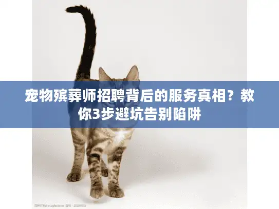 宠物殡葬师招聘背后的服务真相？教你3步避坑告别陷阱