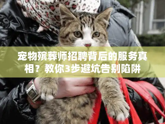 宠物殡葬师招聘背后的服务真相？教你3步避坑告别陷阱