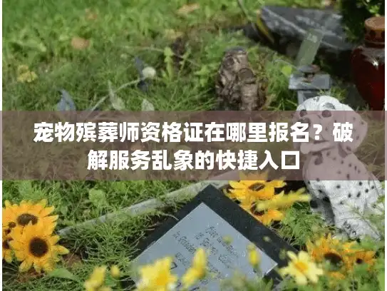 宠物殡葬师资格证在哪里报名？破解服务乱象的快捷入口