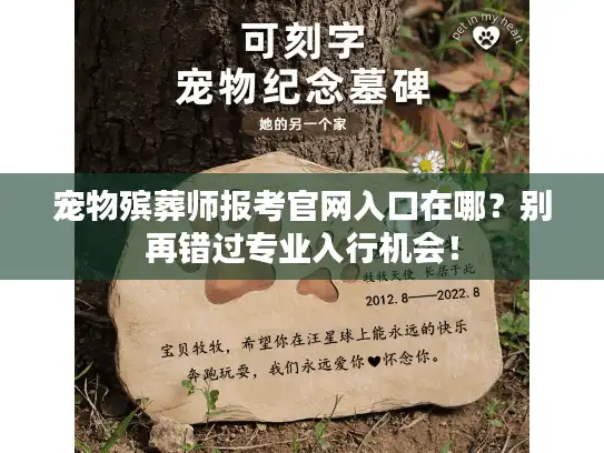 宠物殡葬师报考官网入口在哪？别再错过专业入行机会！