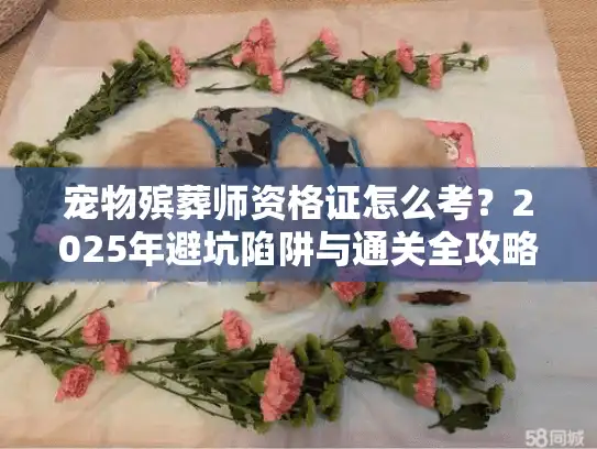 宠物殡葬师资格证怎么考？2025年避坑陷阱与通关全攻略