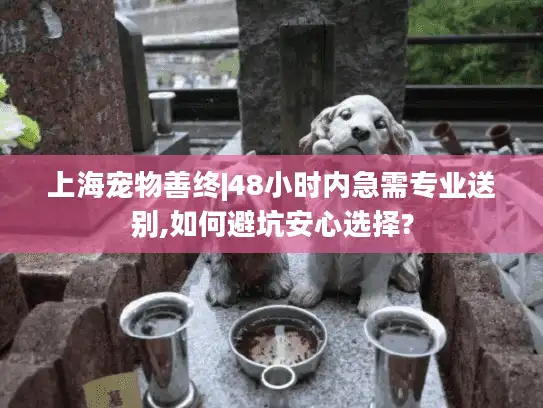上海宠物善终|48小时内急需专业送别,如何避坑安心选择?