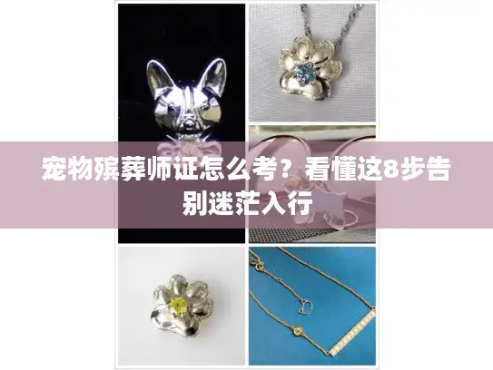 宠物殡葬师证怎么考？看懂这8步告别迷茫入行