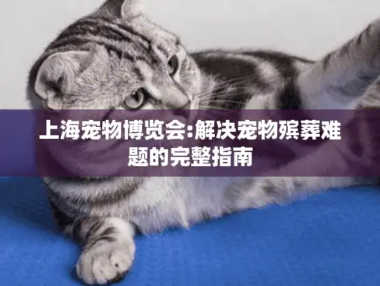 上海宠物博览会:解决宠物殡葬难题的完整指南