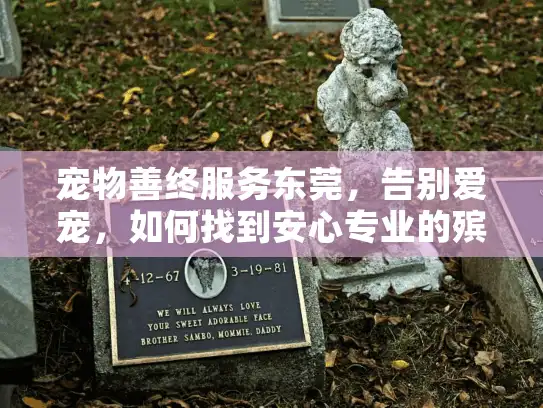 宠物善终服务东莞，告别爱宠，如何找到安心专业的殡葬告别仪式？
