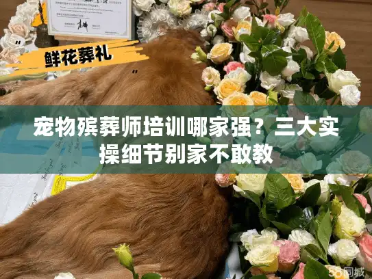 宠物殡葬师培训哪家强？三大实操细节别家不敢教