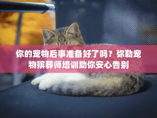 你的宠物后事准备好了吗？弥勒宠物殡葬师培训助你安心告别