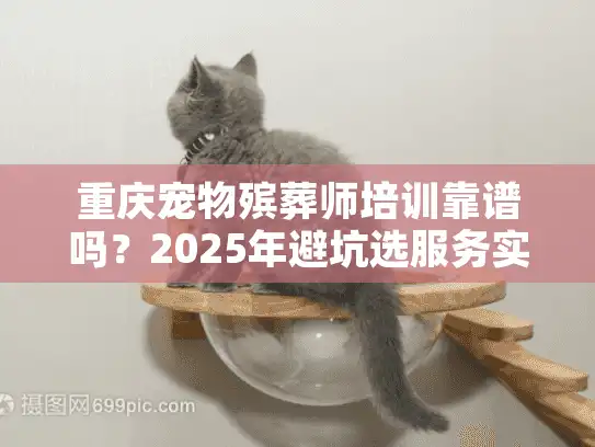 重庆宠物殡葬师培训靠谱吗？2025年避坑选服务实战揭秘