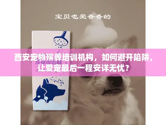 西安宠物殡葬培训机构，如何避开陷阱，让爱宠最后一程安详无忧？