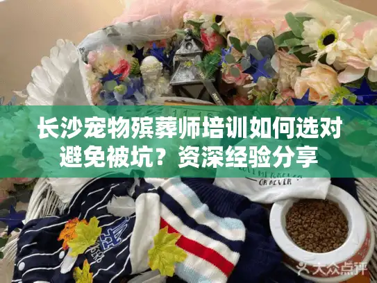 长沙宠物殡葬师培训如何选对避免被坑？资深经验分享