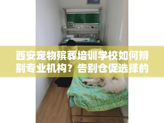 西安宠物殡葬培训学校如何辨别专业机构？告别仓促选择的遗憾