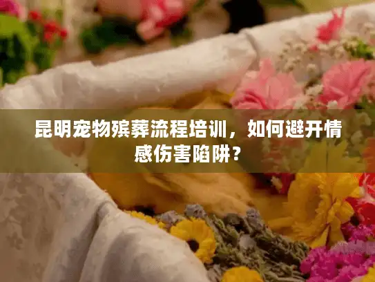 昆明宠物殡葬流程培训，如何避开情感伤害陷阱？