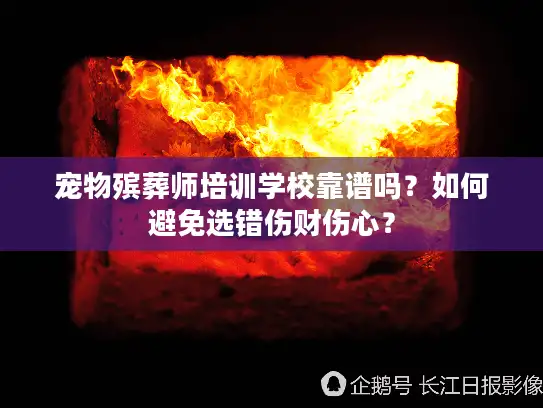 宠物殡葬师培训学校靠谱吗？如何避免选错伤财伤心？