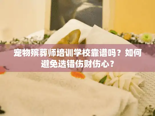 宠物殡葬师培训学校靠谱吗？如何避免选错伤财伤心？