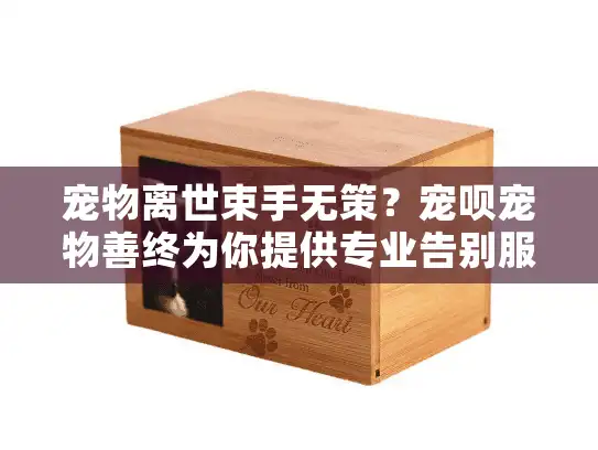 宠物离世束手无策？宠呗宠物善终为你提供专业告别服务